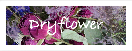 Dry flower