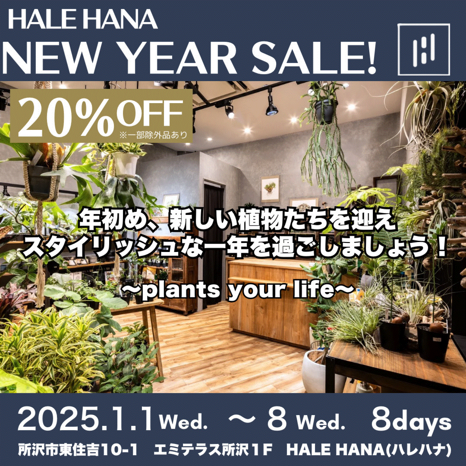 子カテゴリー01 記事2